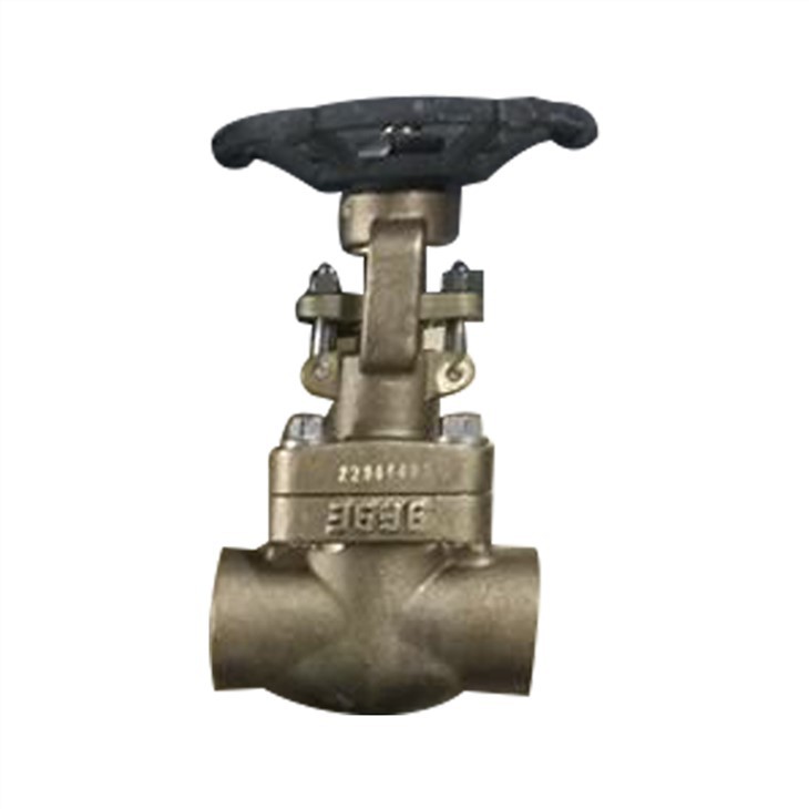 Oxygen Globle Valve